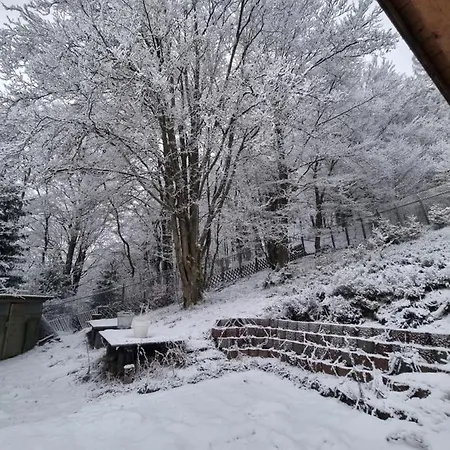 Apartment Ferienwohnung Schneeberg *